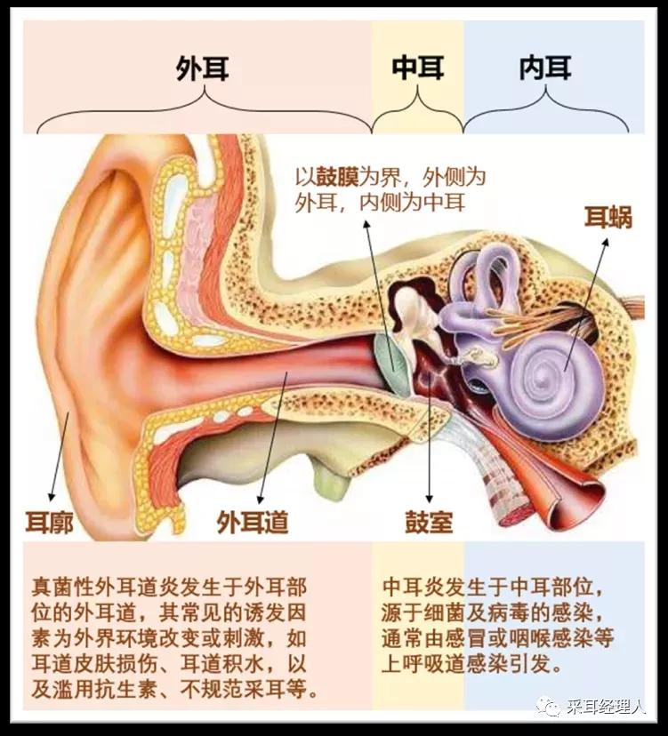 采耳店开业营销策划活动（采耳店活动方案拓客）-赚在家创业号