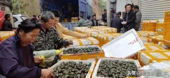 U8国际- U8国际官方网站- U8体育APP下载合百集团：公司收购了大股东合肥市建设投资控股（集团）有限公司持有的合肥金太阳能源科技股份有限公司5%股权战略入局新能源行业