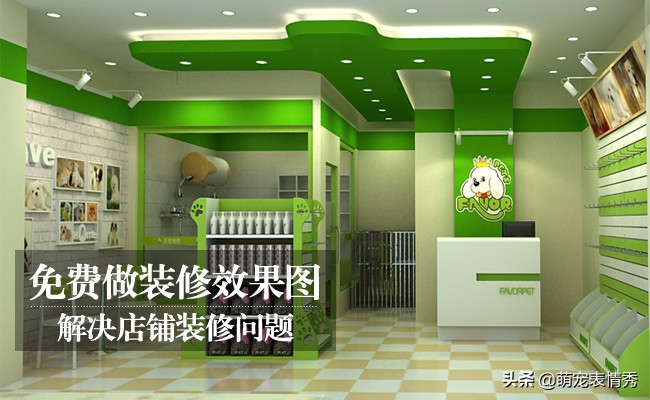 开宠物店需要什么手续和证件（开宠物店需要条件都在这里）-赚在家创业号