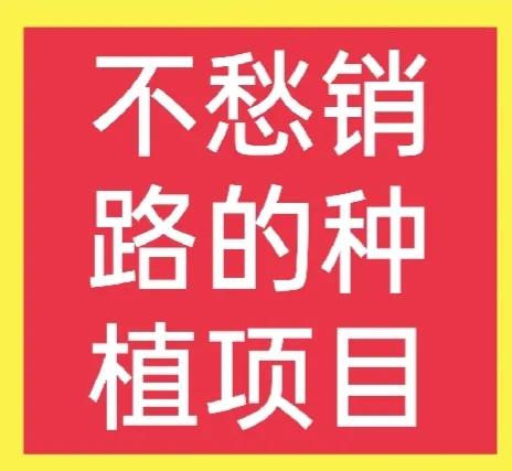 一年四季不愁销路的生意 适合女人小成本开店-赚在家创业号