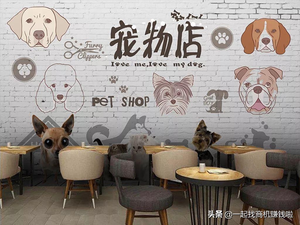 如何开好一个宠物店？开宠物店赚钱吗-赚在家创业号