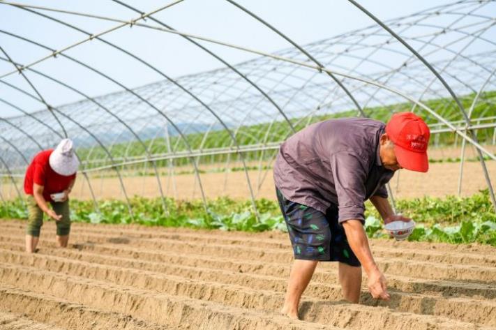 农村人到底怎样才能发家致富？分享几个适合农村致富项目案例-赚在家创业号