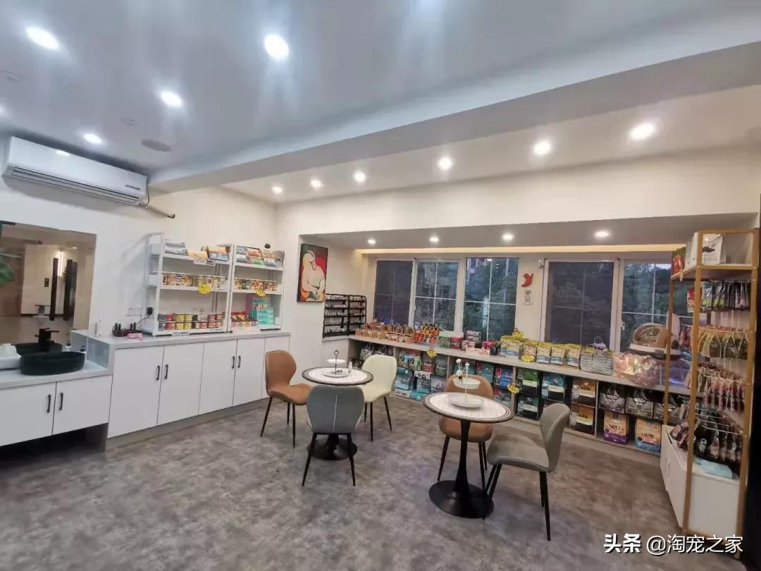 宠物店怎么才能经营好？宠物店提高营业额方法-赚在家创业号