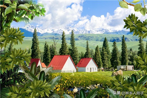 适合农民工创业项目-最适合农村创业的行业-赚在家创业号