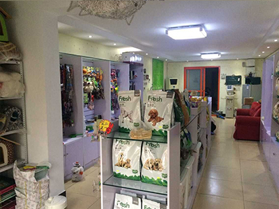 怎样开好一个宠物店（开好一家宠物美容店需要三个条件）-赚在家创业号