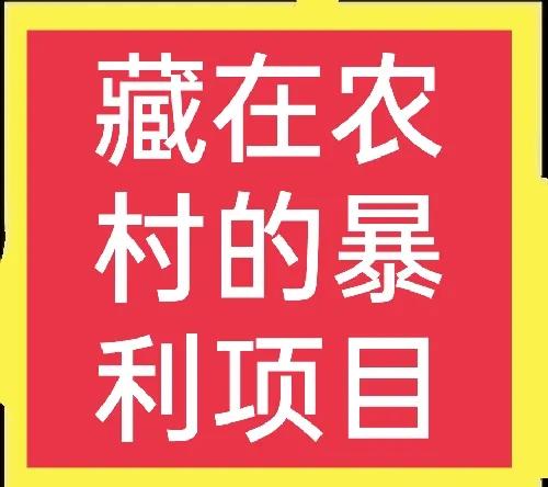 农村创业做什么项目好 农村致富路有哪些项目-赚在家创业号