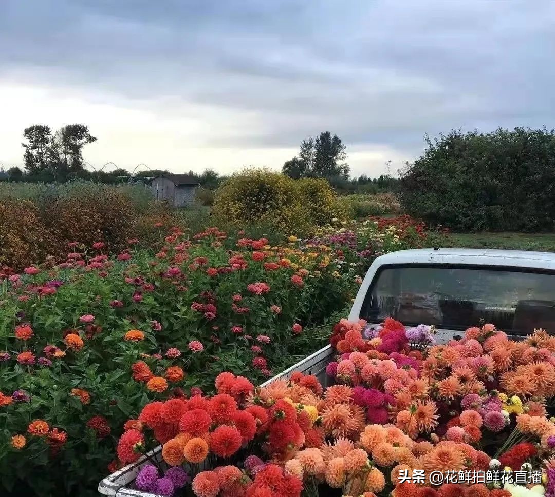 怎么开一家网红店？开网上花店的步骤-赚在家创业号