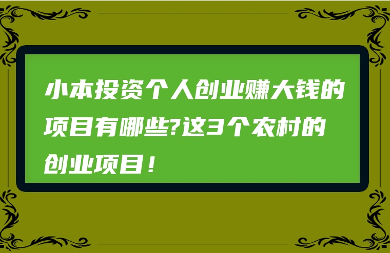 小本投资个人创业赚大钱的项目有哪些?这3个农村的创业项目！