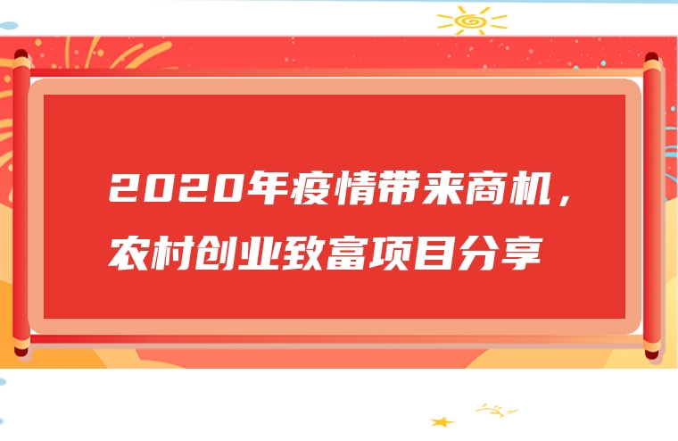2020年疫情带来商机，农村创业致富项目分享