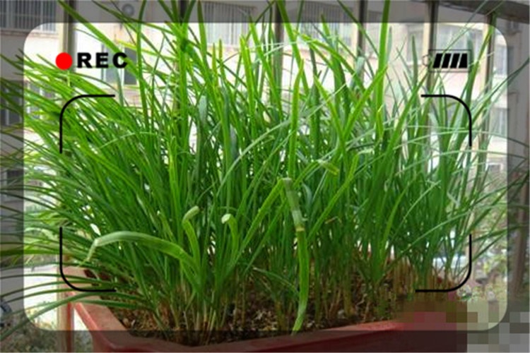 月纯利润2—3万的小生意,目前市场上还有哪些?推荐一下