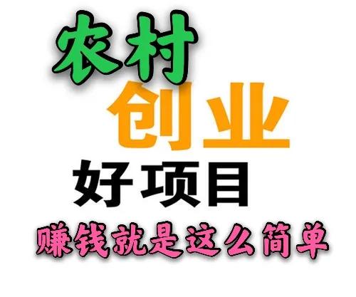 返乡创业有哪些优势?选定项目后如何入手?附十个传统好项目
