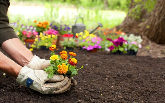 适合50岁女人创业项目(4个适合50岁父母干的小生意)-专在家创业网