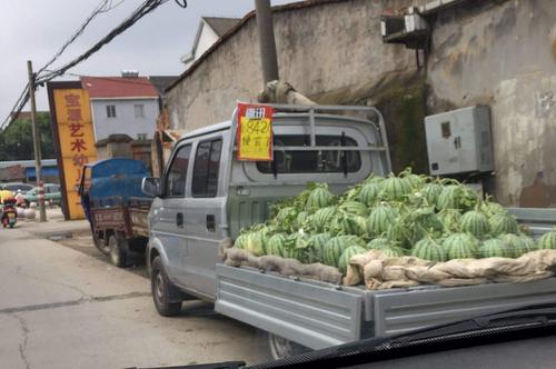 农村创业难赚钱吗?试试这五个项目吧,赚钱真不难