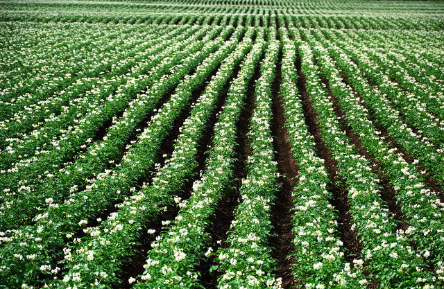 小投资也能赚大钱,找准项目是关键,这些项目值得考虑