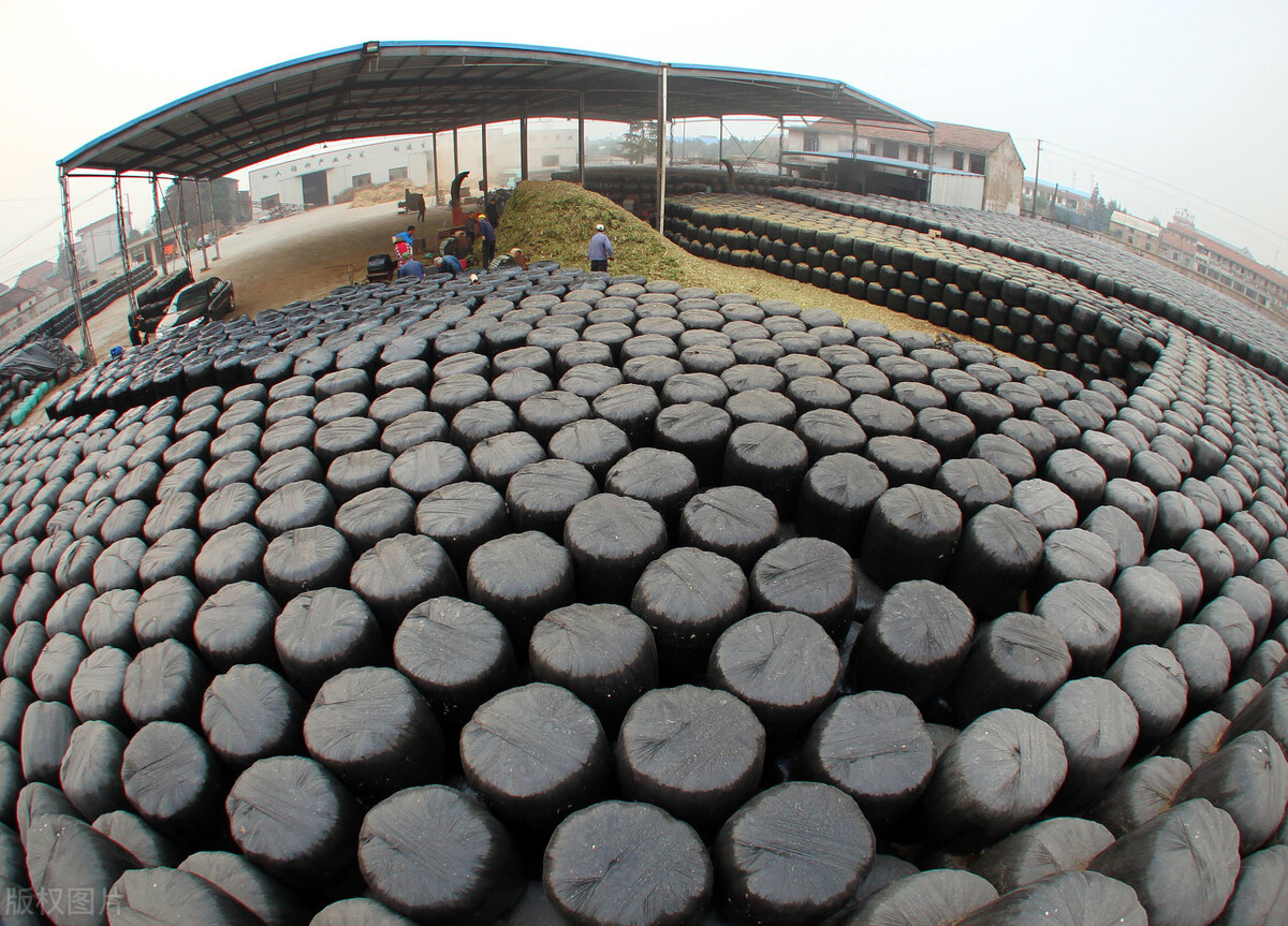 适合农村的六个小型加工厂项目,适合你的才是最好的