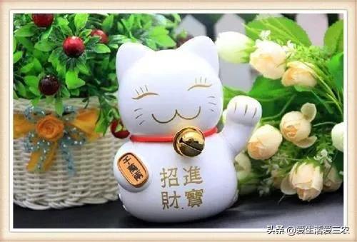 一个人就可以创业的项目,低成本高收益,方法简单值得一试!