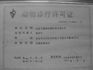 就业难？开宠物店需要什么手续？