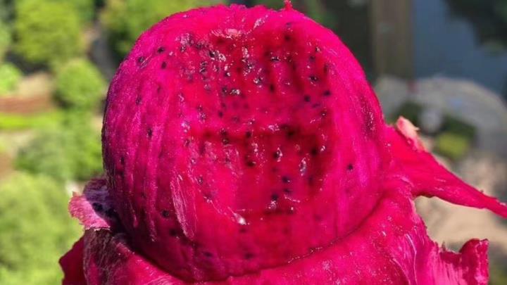 开个水果店需要投资多少钱,投资一个水果店需要多少钱