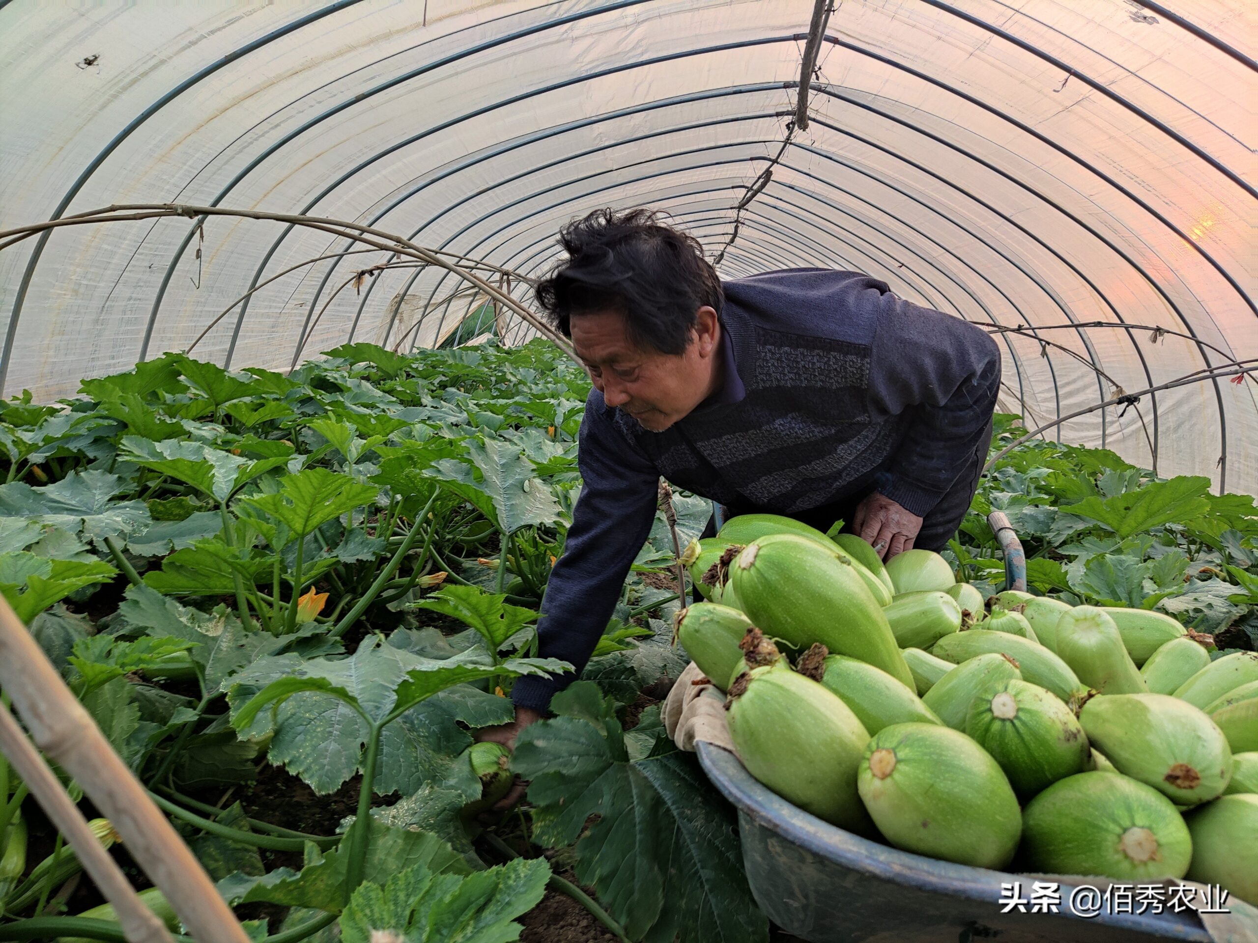 实在不想打工了，想回农村创业，选了4个好门路，请大家支招