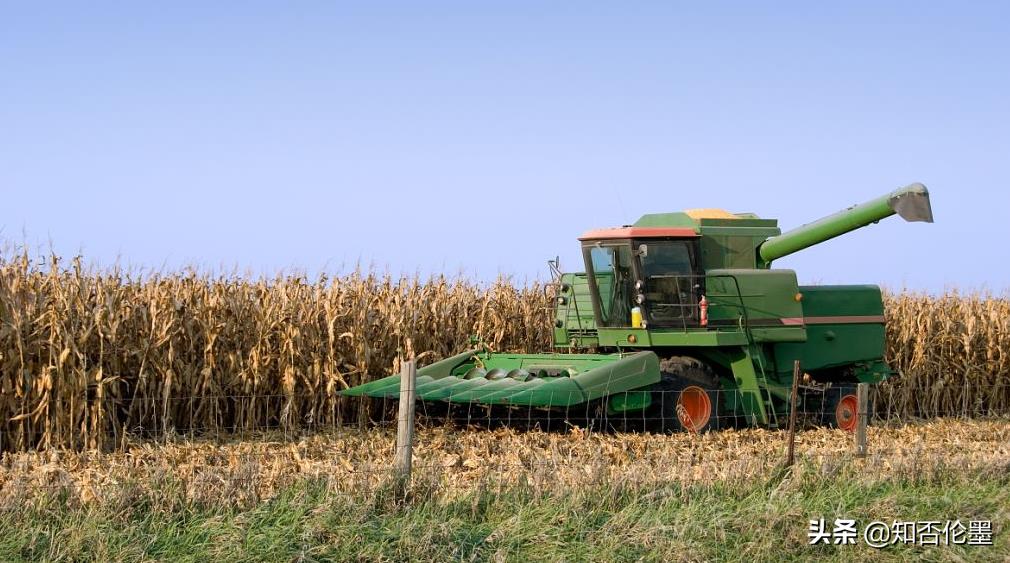 适合农村发展的“小投资项目”有哪些？这四个项目，想赚钱就去做