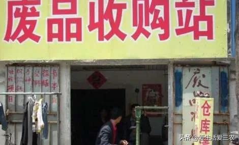 农业小项目,也能挣大钱,这些偏门小生意原来真的很挣钱!