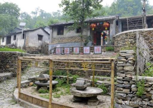 农村创业种啥养啥赚钱快?这22个农村创业项目,总有1个适合你