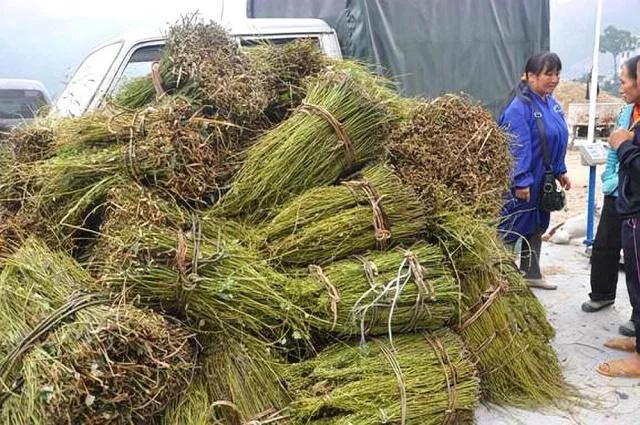 200个农村创业项目大分享(7)倒卖生意篇