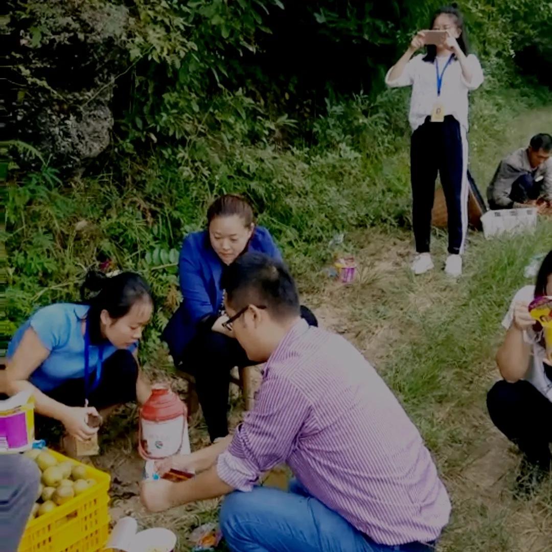 干货分享:乡村振兴中最赚钱的20个农村创新项目,成本低、见效快