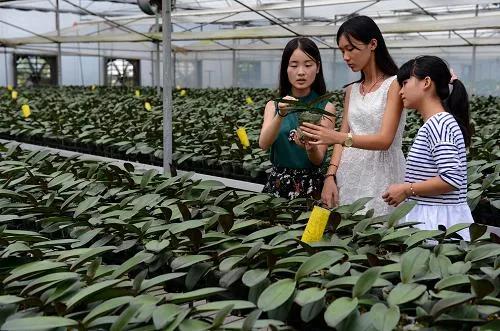 返乡创业有哪些优势?选定项目后如何入手?附十个传统好项目