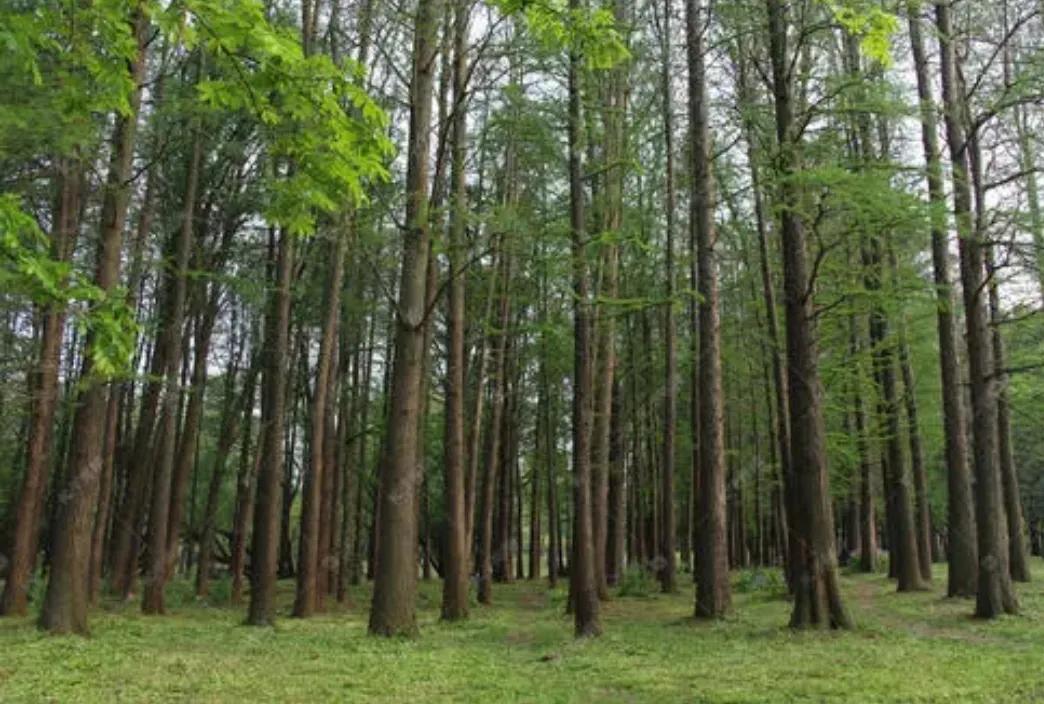 农村创业要注意什么？你想知道的答案全都在这里，看看不吃亏