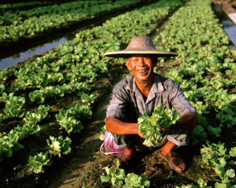 你真的能改变生活吗?农村人的致富方法其实是可以复制的