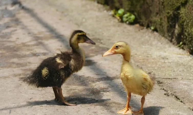 想赚钱的看过来,这八个赚钱小生意不可错过,请收藏