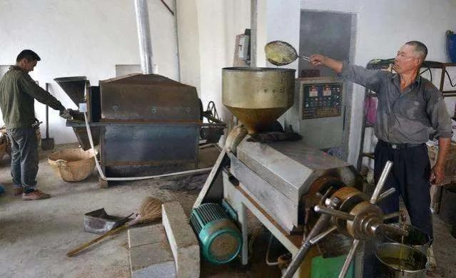 不想打工的农村人,回农村做什么比较合适呢?这些项目值得一试