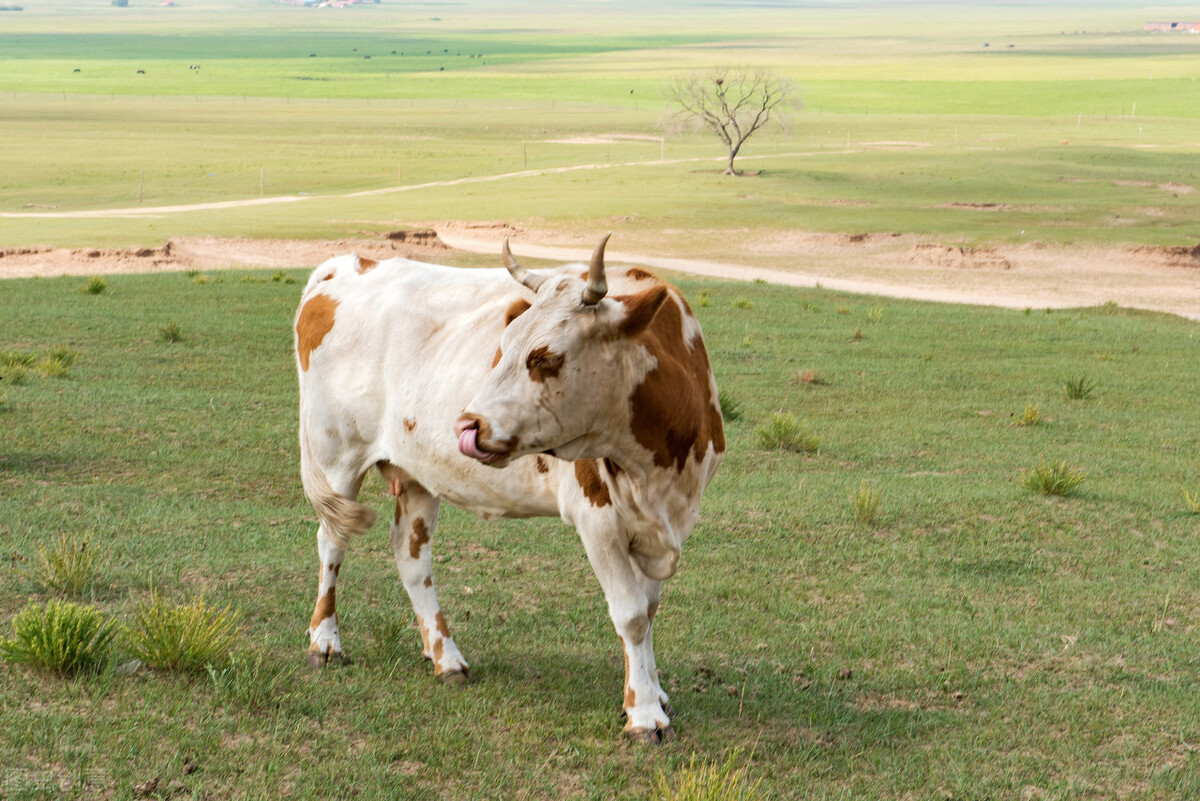 2022年养殖风暴再度刮起!有3类人爆赚,还有3类人将被一刀切