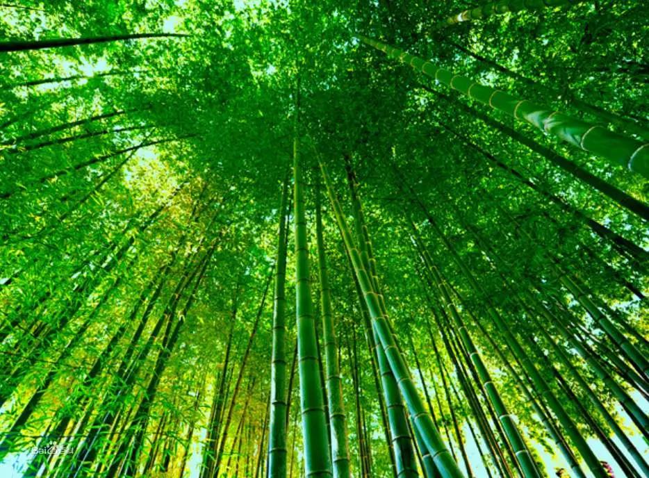 在农村，做什么可以年赚20万？这4个项目潜力不错，可以试试