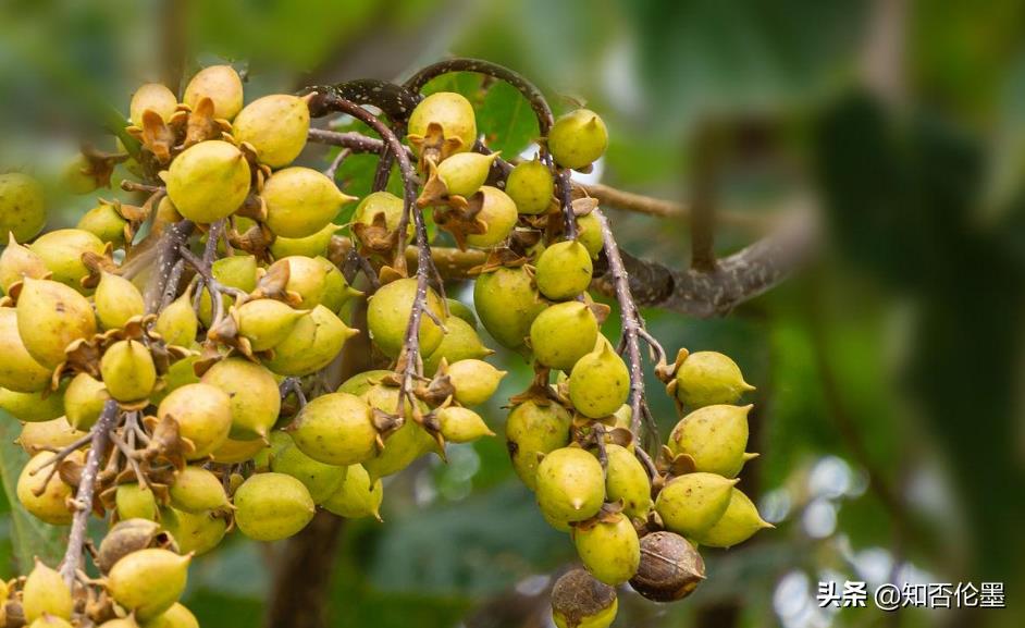 目前,在农村做什么有“钱”途?这几大致富门路,看看哪些适合你