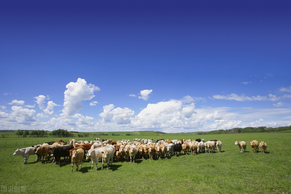 适合农村创业的十个好项目