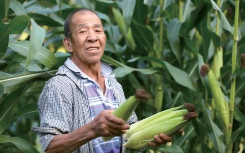 你真的能改变生活吗?农村人的致富方法其实是可以复制的