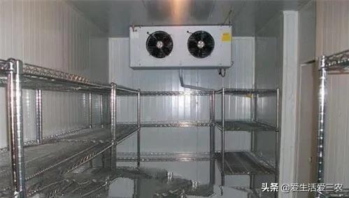 八大农村紧缺行业,的确利润高,想赚钱的来学