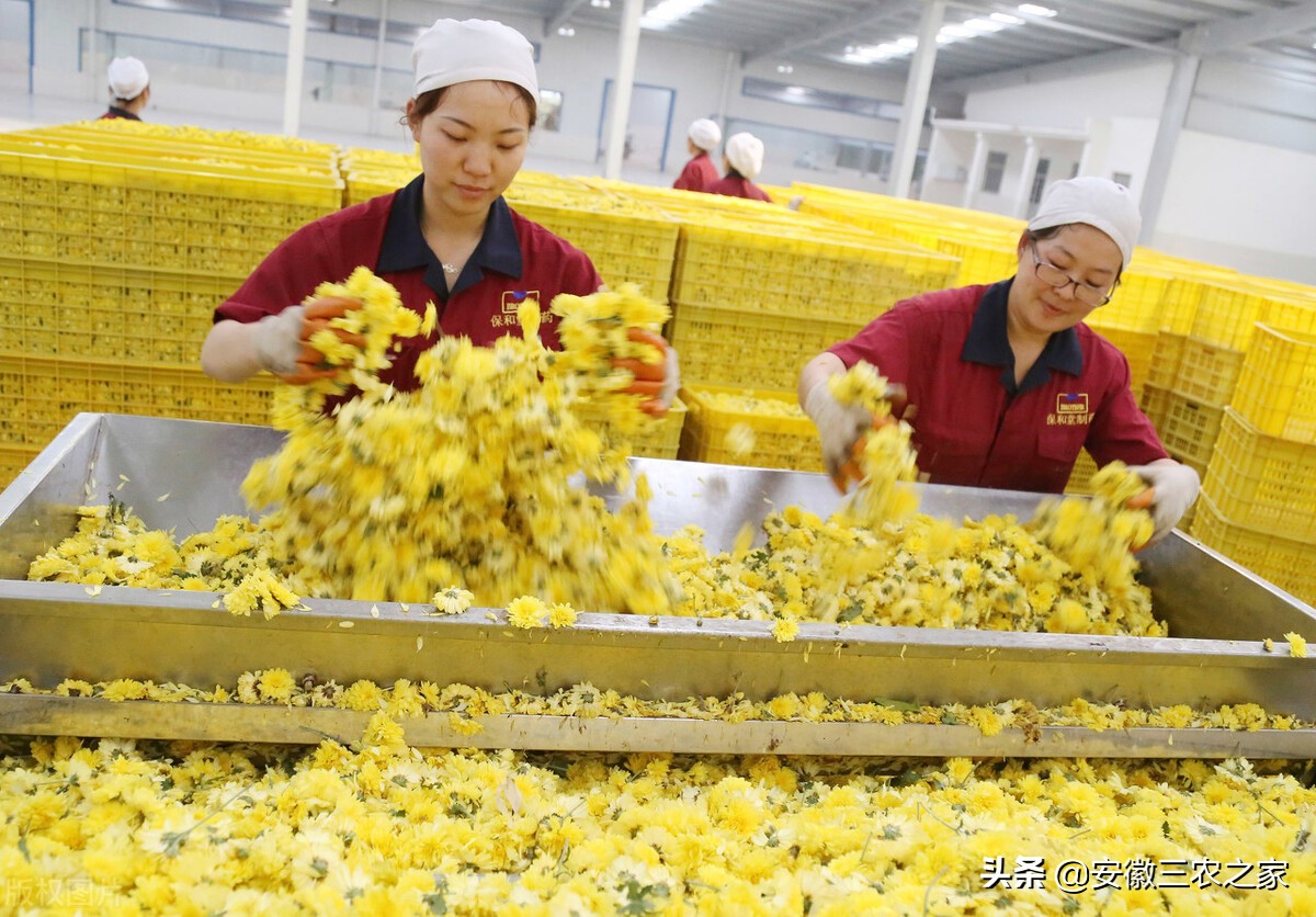 没钱还想返乡创业？这几点都是我多年的经验，今天分享给大家