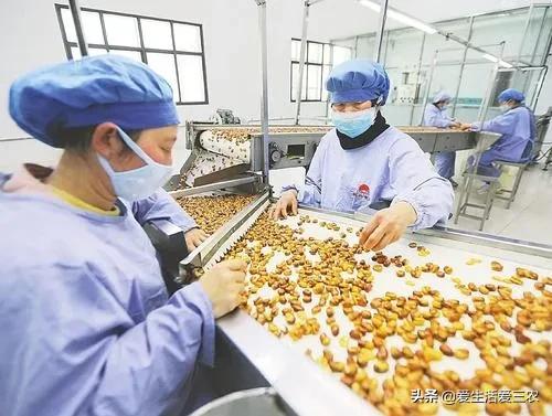 想在农村创业有怕赔钱?来做这几个很稳妥的项目吧,建议收藏