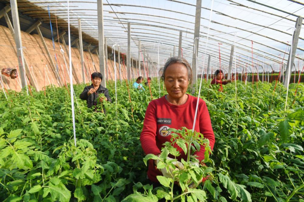 你真的能改变生活吗?农村人的致富方法其实是可以复制的