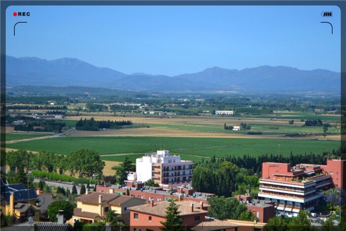 1000元创业能干什么?一千元投资创业小项目-专在家创业网