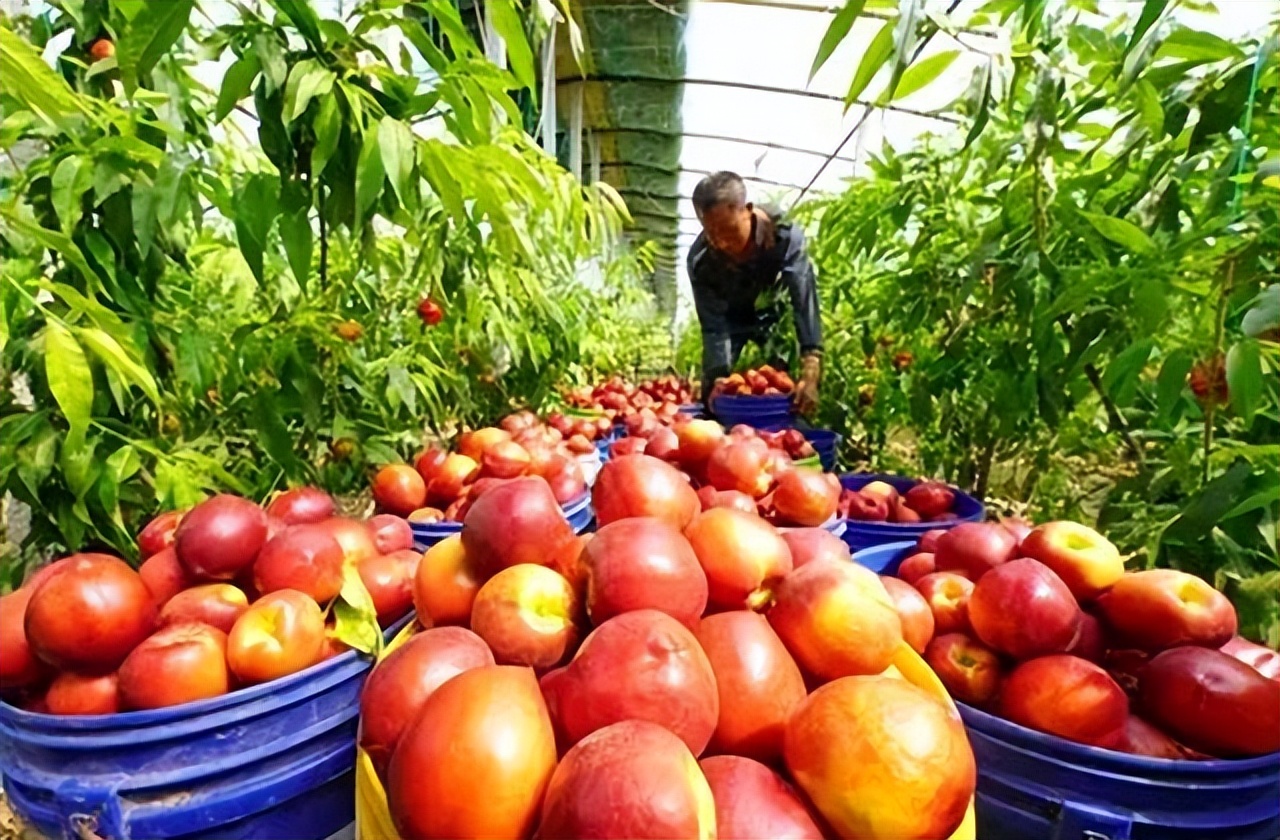 哪些行业比较有着比较好的前景呢？