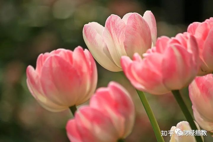 想学自媒体在哪里可以学，怎么才能做好自媒体？