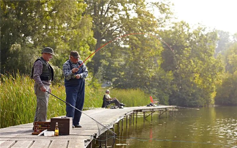 目前,已经进入人口老龄化社会,普通人做什么生意最赚钱?