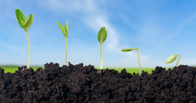 农村创业优势非常多，有哪些加工项目适合投资？一文说清