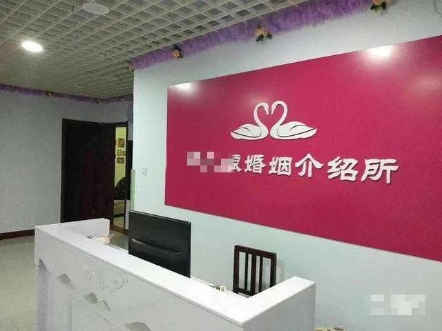 几乎不用什么成本的农村项目有哪些？