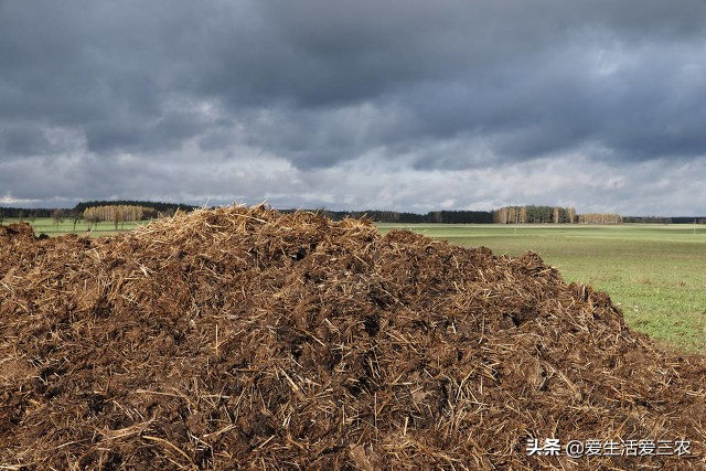 推荐几个藏在农村，不起眼的小项目，从业者都在闷声发财
