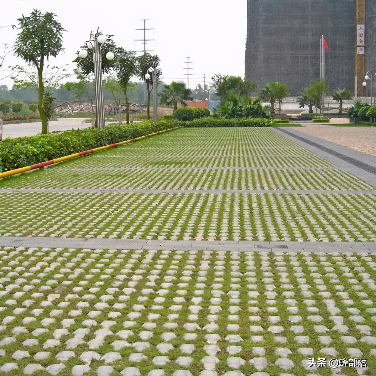 2021年农村创业，有哪些项目可以选择？这12个产品项目值得参考